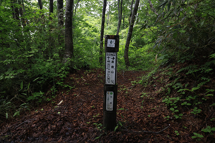 信越トレイル