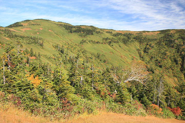 会津駒ヶ岳