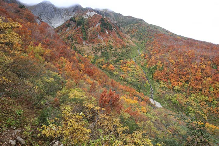雨飾山が賑わうのは紅葉