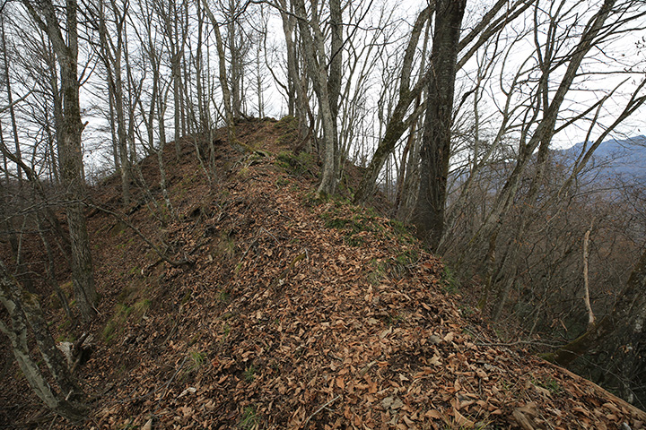 長い尾根を伝って最高峰の砂鉢山へ