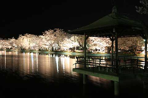 臥竜公園
