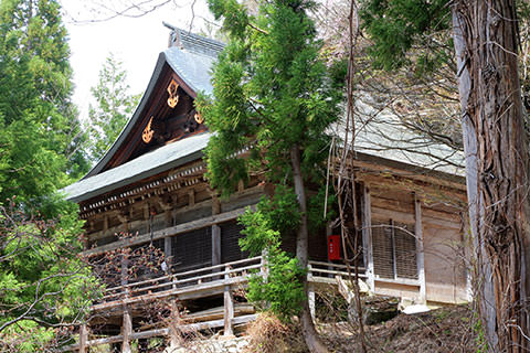 小菅神社