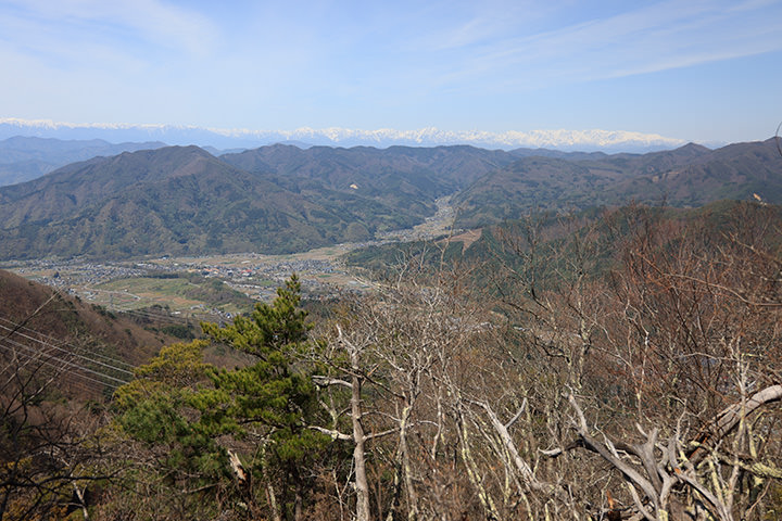 達磨山の眺め