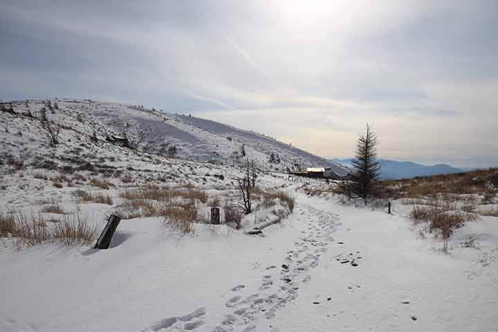 鉢伏山へは無雪期なら車でアクセスが可能