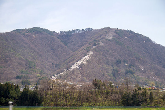 光城山