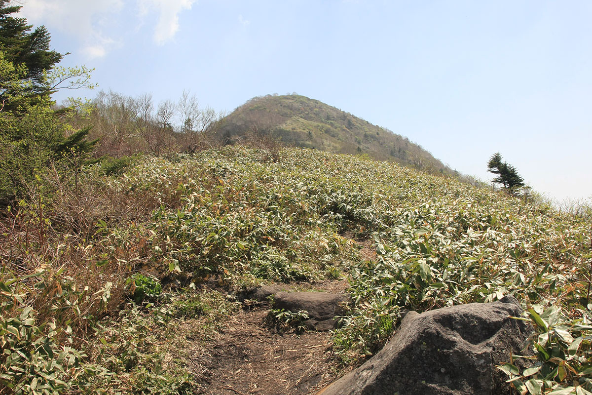 登りやすいのは西登山道