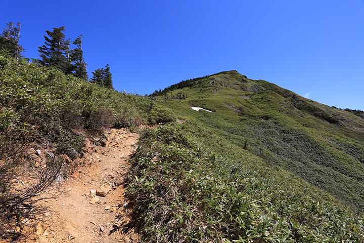 岩菅山の登山道