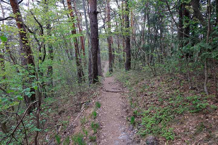防災メモリアル地附山公園から、緩やかに登っていくコースが一般的です。