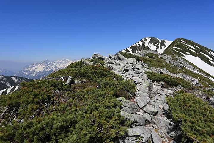 前常念からの登山道