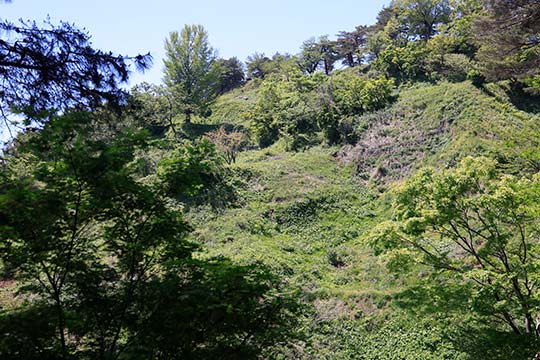 春日山 上信越の山