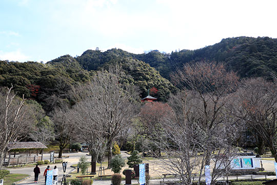 金華山 東海・北陸の山