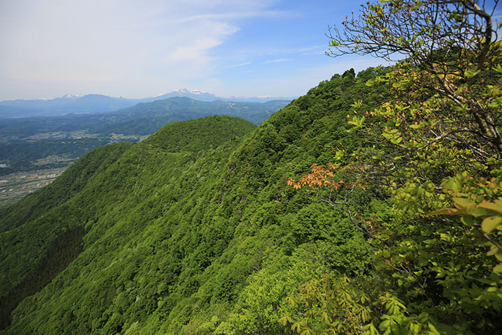 高社山
