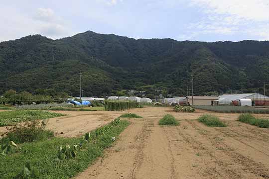 鞍骨山