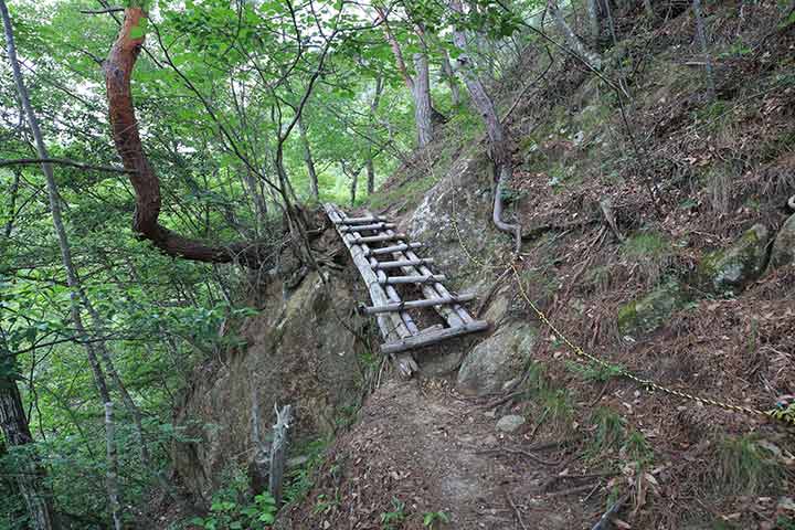 どちらかといえば夏季が適した山