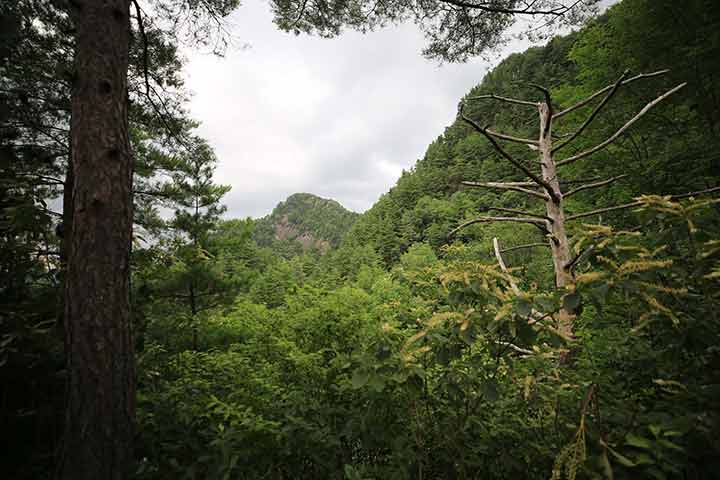 複数の登山口と一本の登山道