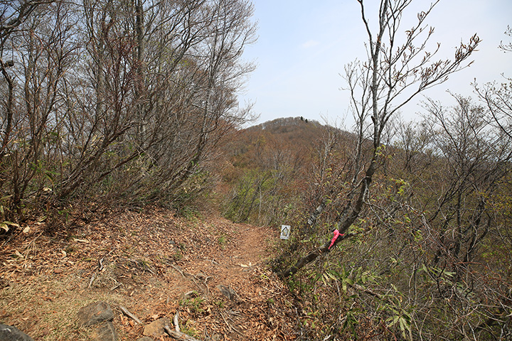 斑尾山は広くゲレンデがあり、高原として観光地化しているところも多い