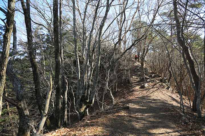 急な斜面を登る登山道