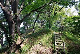 鳥坂城跡