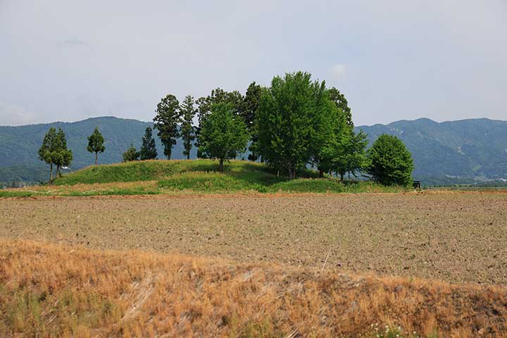 根塚