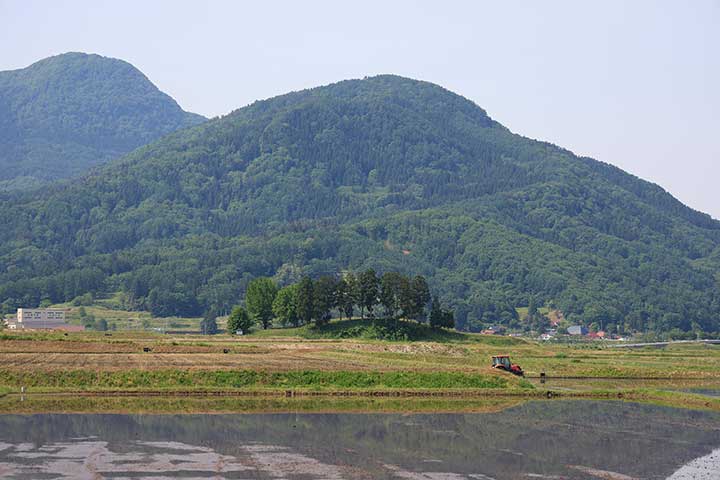 根塚