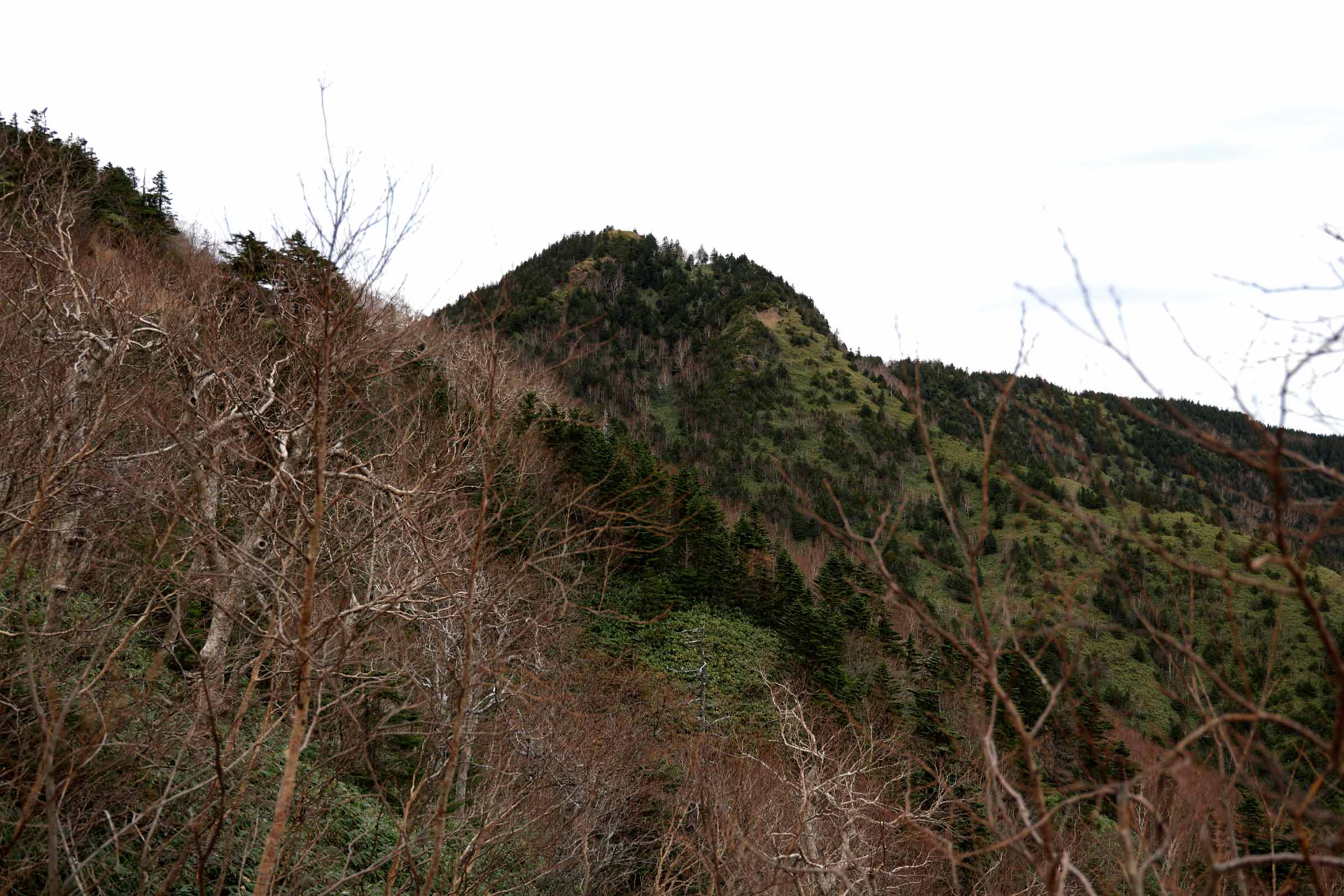 老ノ倉山