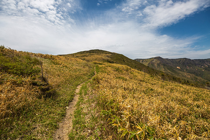 御飯岳へ登る登山口は、毛無峠にあるひとつのみとなります。