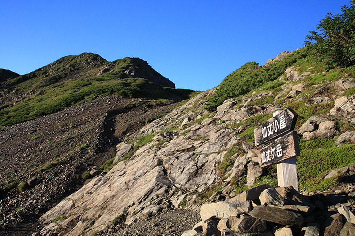 仙丈ヶ岳