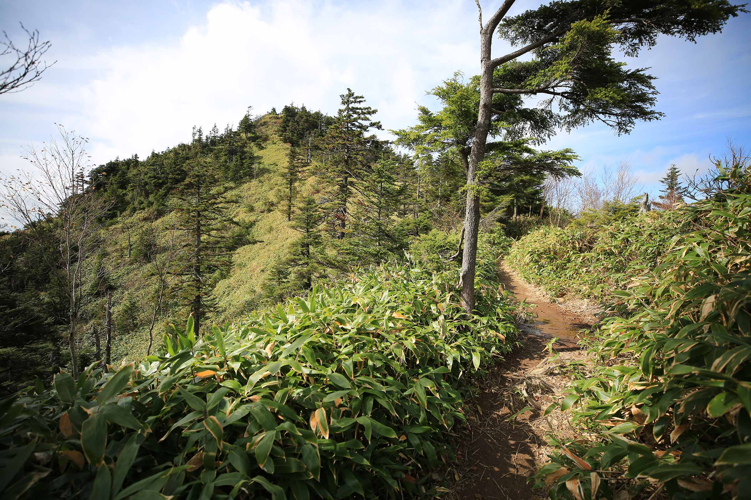 志賀山｜志賀高原の中央に聳えるふたつの峰登山百景