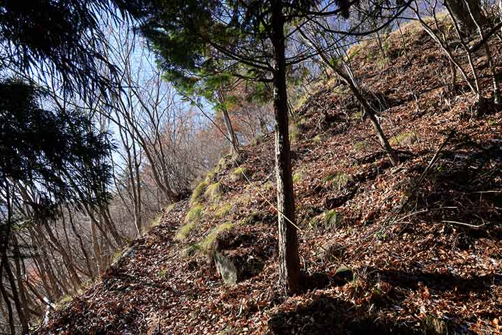 短い時間で登ることのできる里山