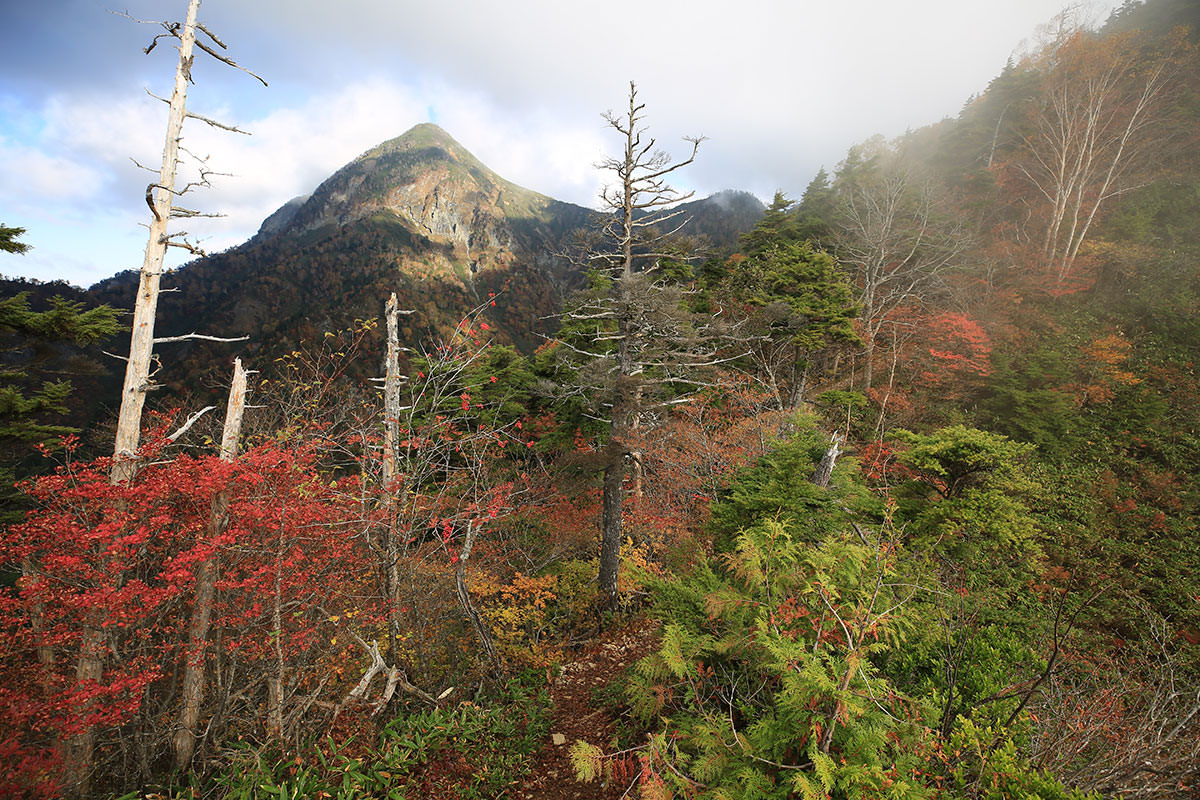 高妻山の紅葉