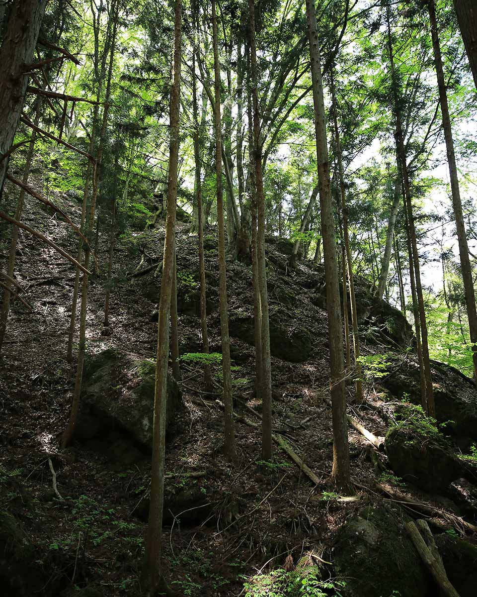 独鈷山 信州百名山 標高1266mの岩峰に登る 登山百景