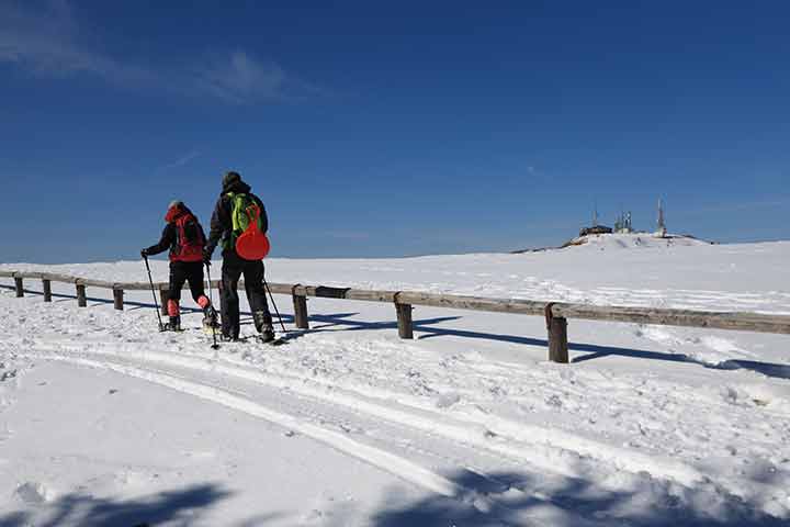 とても歩きやすい美ヶ原