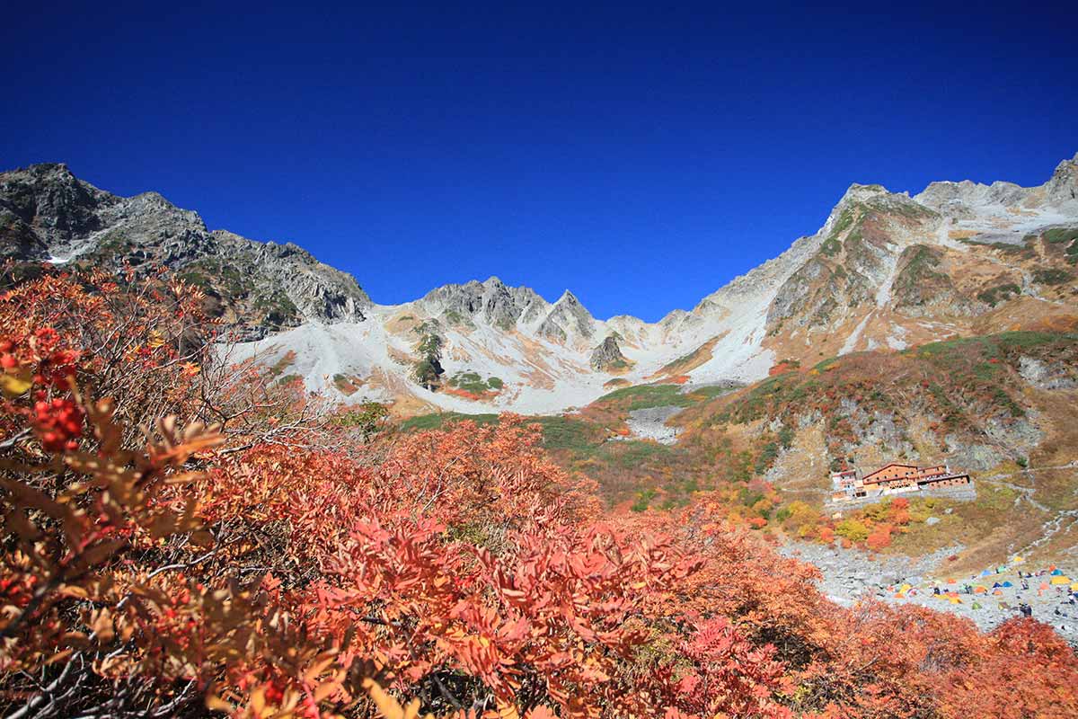 初心者レベル1ヶ月