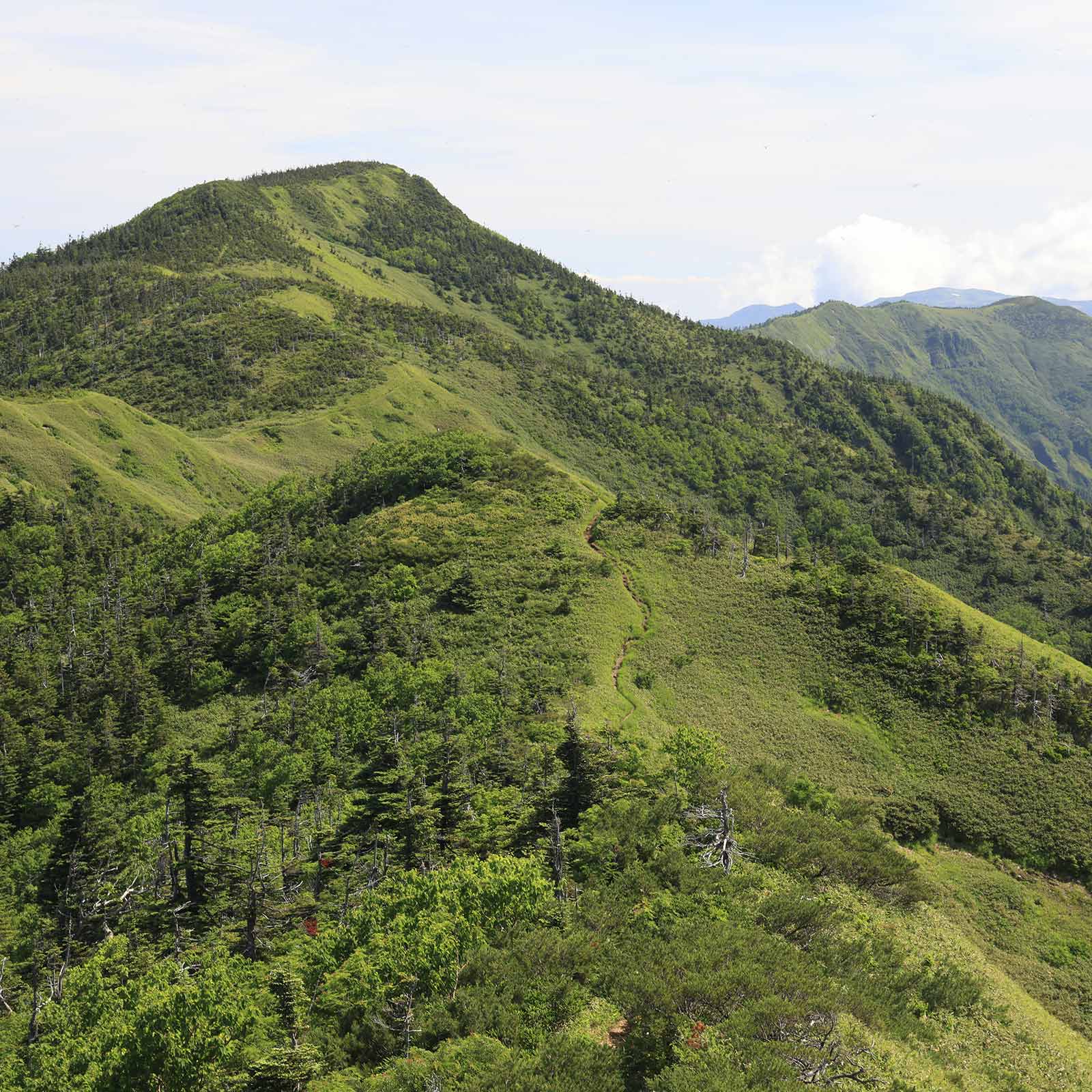 2025年の登山の振り返り