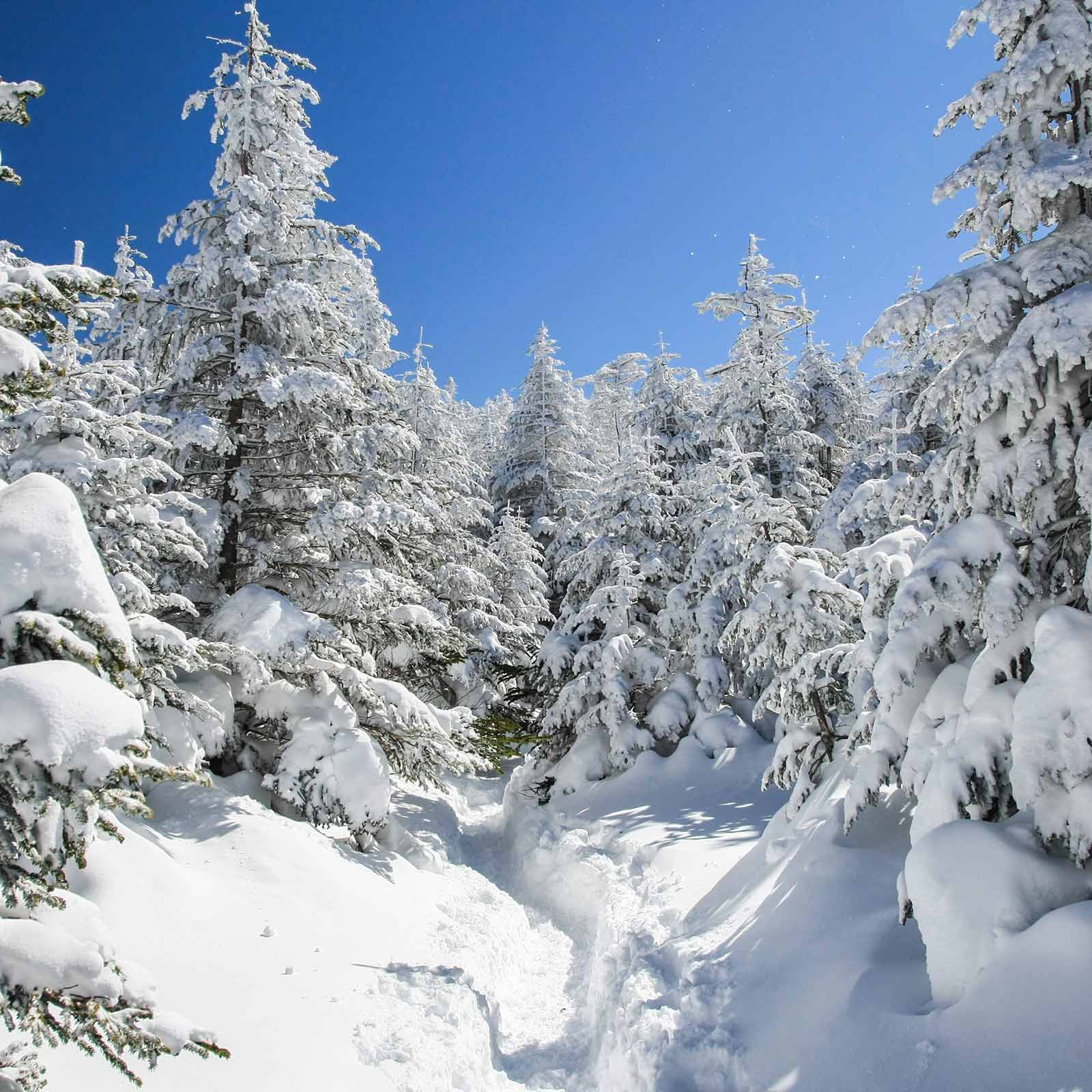 雪山初心者におすすめの冬山5選！