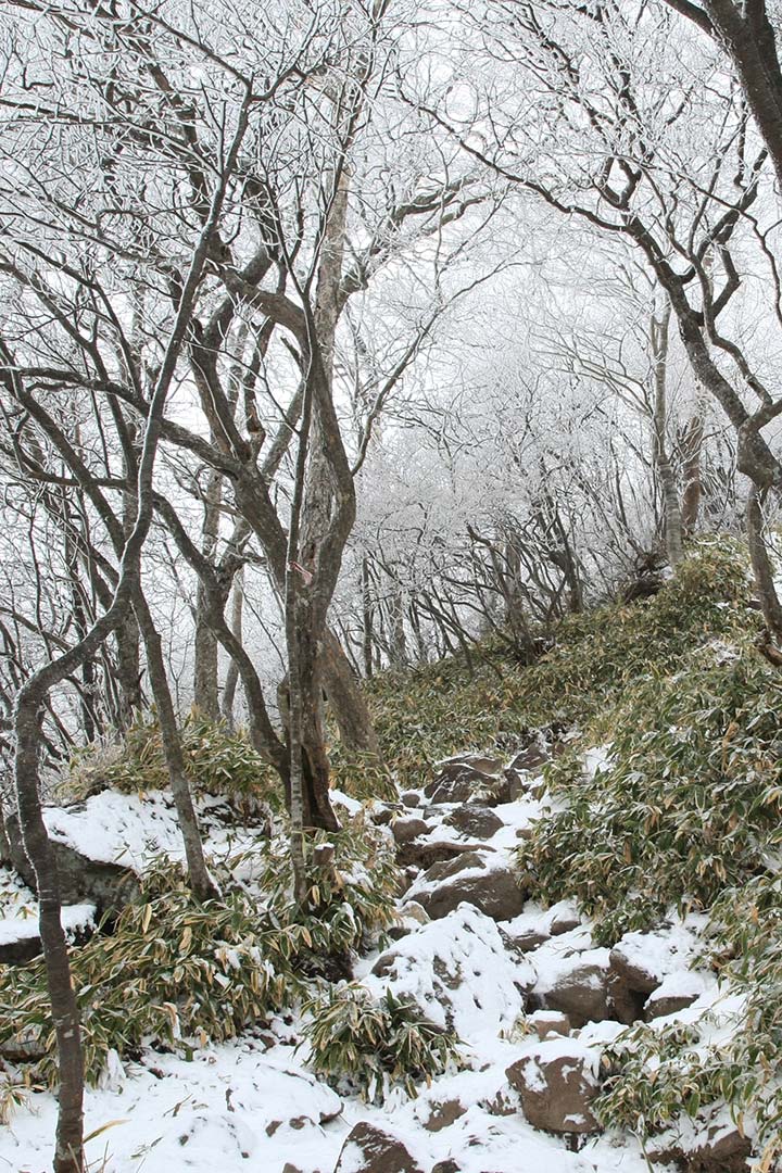 赤城山　登山（黒檜山登山口） （12月）｜最高峰の黒檜山から駒ヶ岳への縦走路