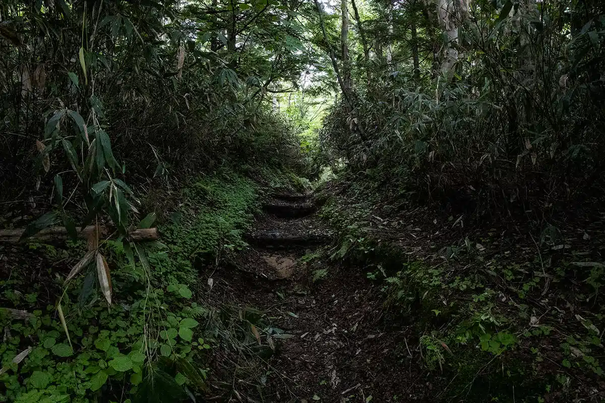志賀高原赤石山登山 志賀高原赤石山-湿度タップリの中を歩く