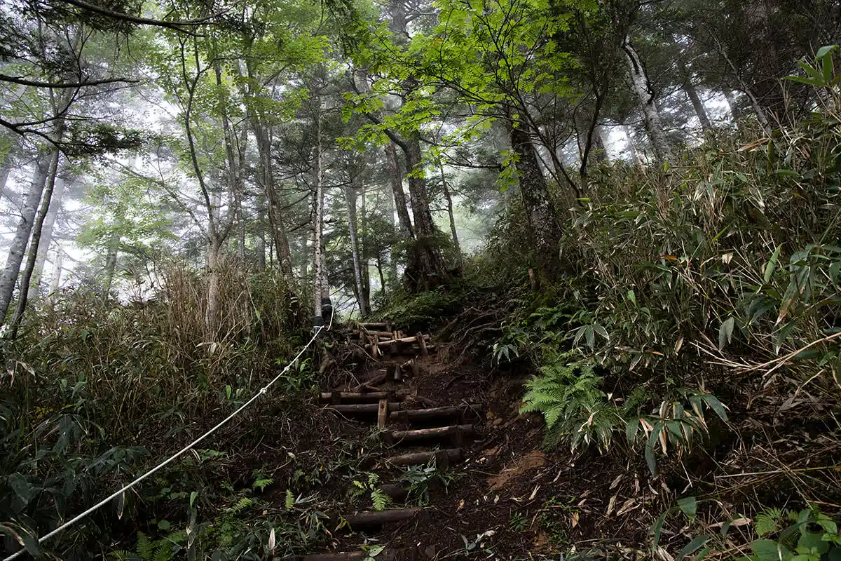 志賀高原赤石山登山 志賀高原赤石山-次々と階段でなかなか大変