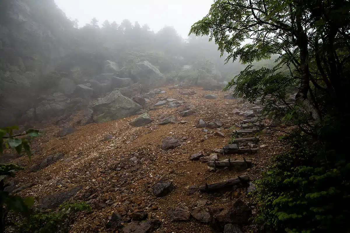 【志賀高原赤石山登山】志賀高原赤石山-景色が開けた。白いけど。