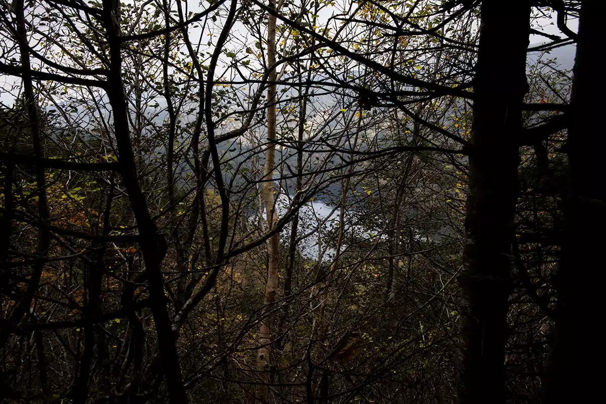 志賀高原赤石山登山 志賀高原赤石山-木の間から大沼池が見えた