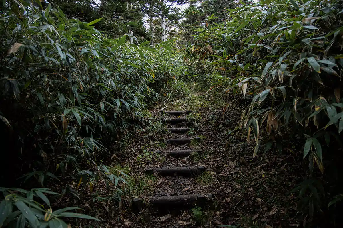 志賀高原赤石山登山 志賀高原赤石山-登りには階段もある
