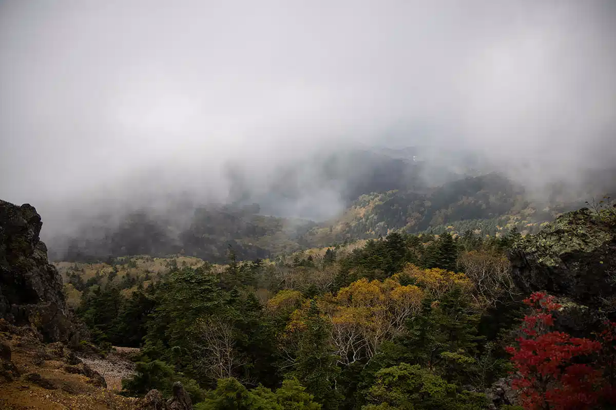 志賀高原赤石山登山 志賀高原赤石山-山頂を前に景色を見る