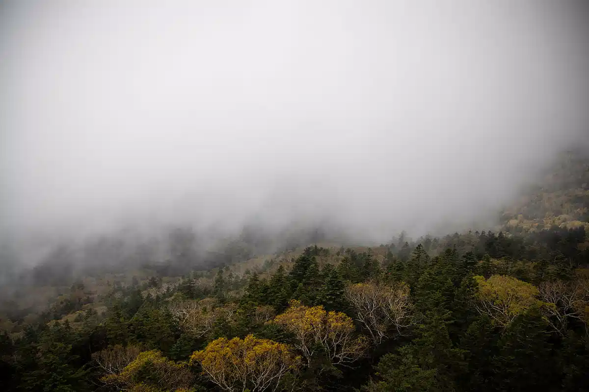 志賀高原赤石山登山 志賀高原赤石山-大沼池を見下ろすけれど雲ばかり
