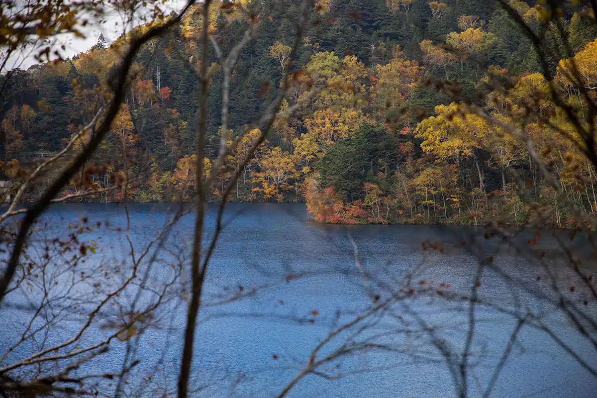志賀高原赤石山登山 志賀高原赤石山-大沼池が青く見える