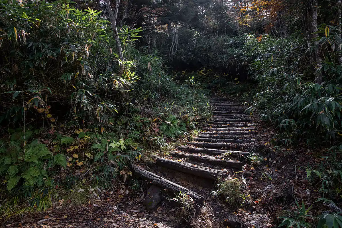 志賀高原赤石山登山 志賀高原赤石山-地味に階段が多い