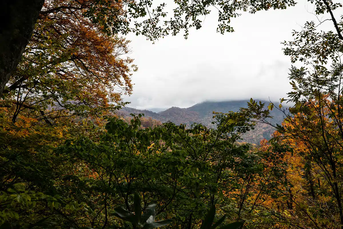 雨飾山登山 雨飾山-向こうの稜線は大渚山の登山口