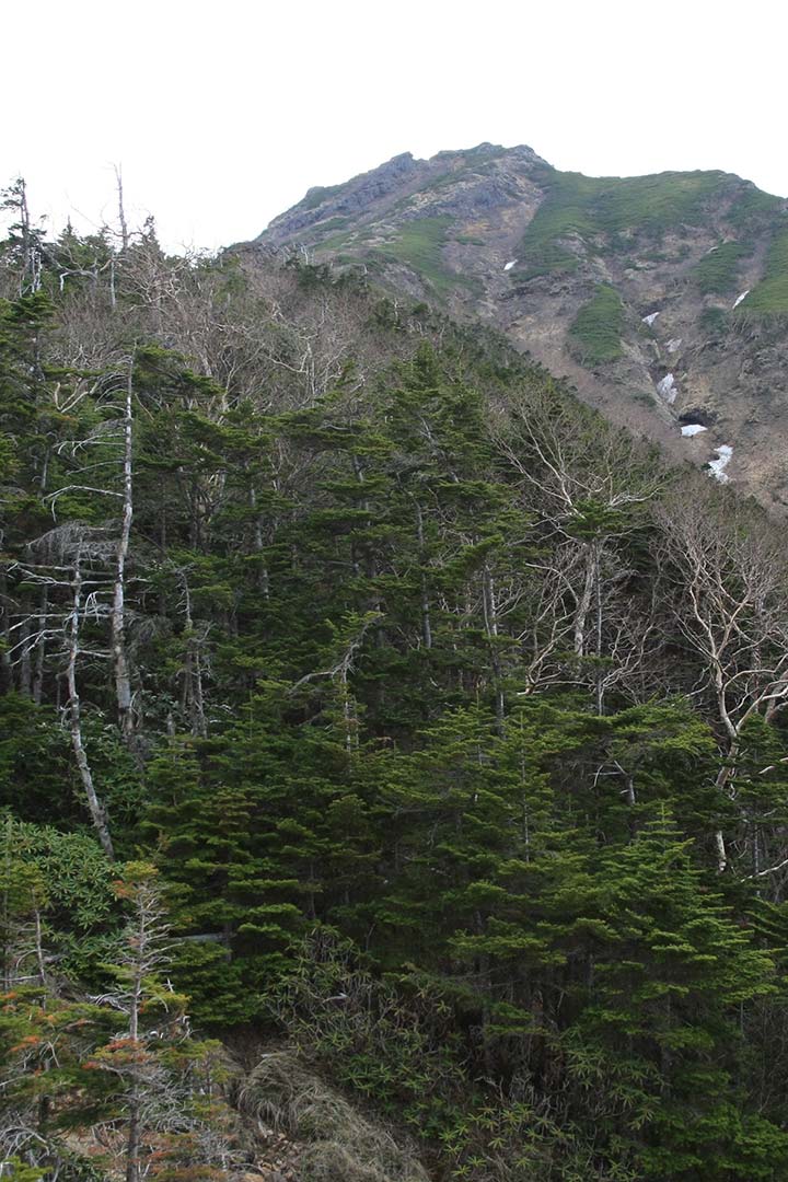 阿弥陀岳　登山（舟山十字路） （6月）｜山頂付近の高度感！深い崖を見下ろして歩く