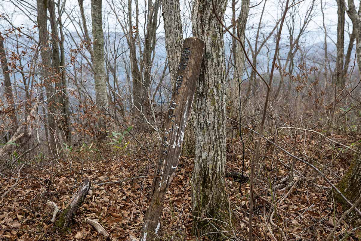 荒倉山登山 まさか・・・ここが霧見岳