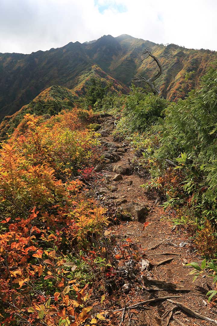 荒沢岳　登山（銀山平） （10月）｜鎖天国！紅葉の奥只見二百名山を登る