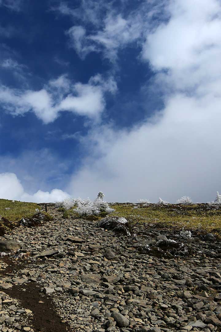 四阿山　根子岳縦走 （11月）｜霧氷に囲まれる登山道を登る